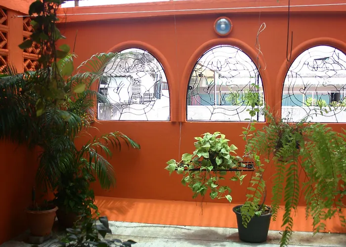 Albergue Born Free *