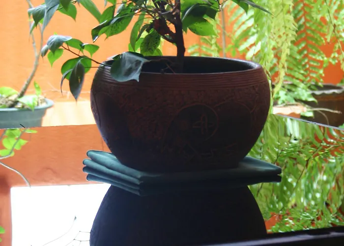 Albergue Born Free Banguecoque