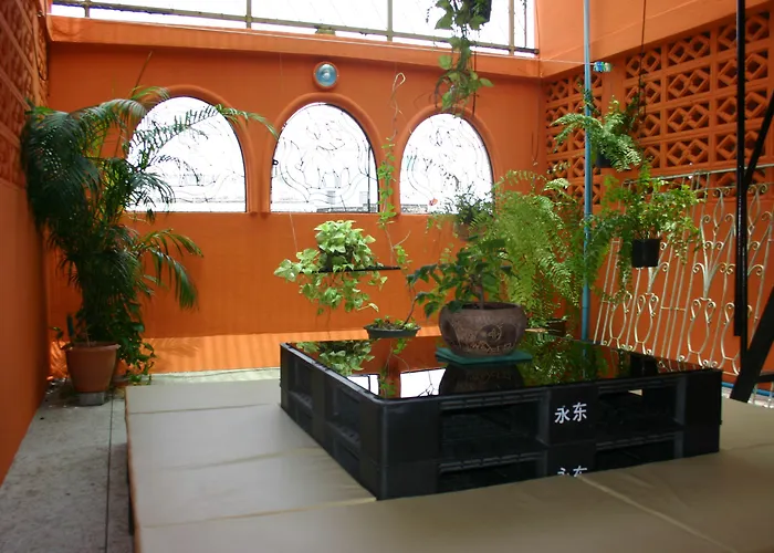 Born Free Hostel