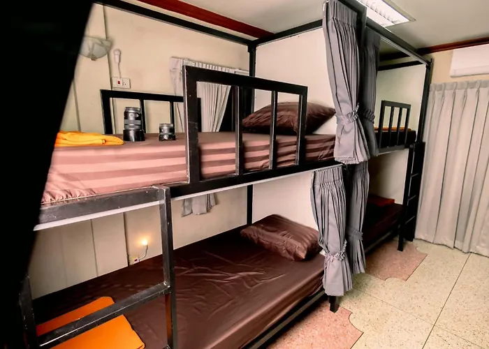 Albergue Born Free