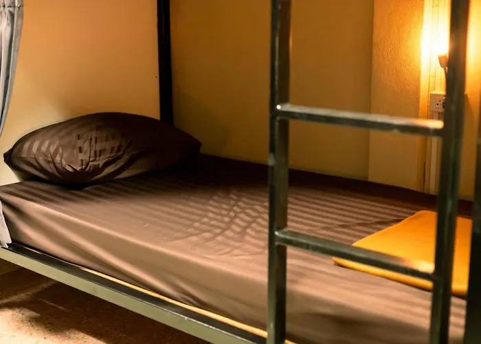 Born Free Albergue