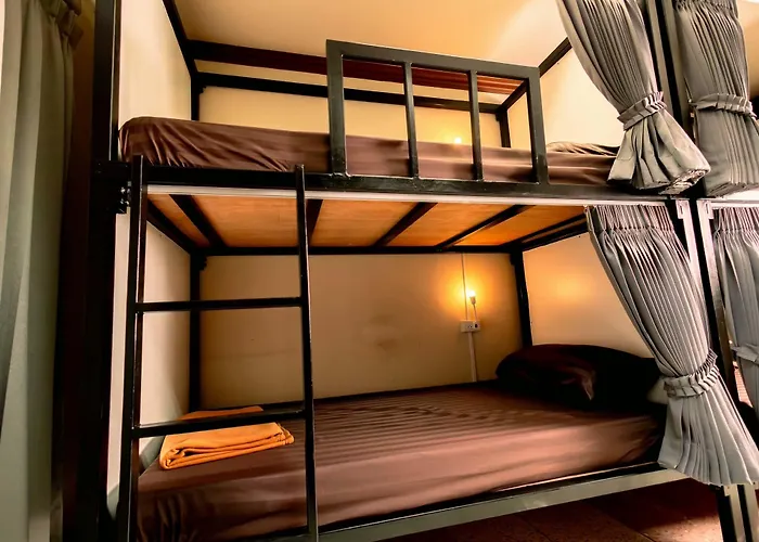 Born Free Albergue